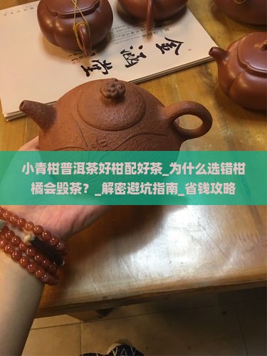 小青柑普洱茶好柑配好茶