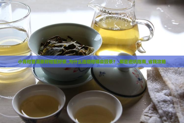 小青柑普洱茶好柑配好茶