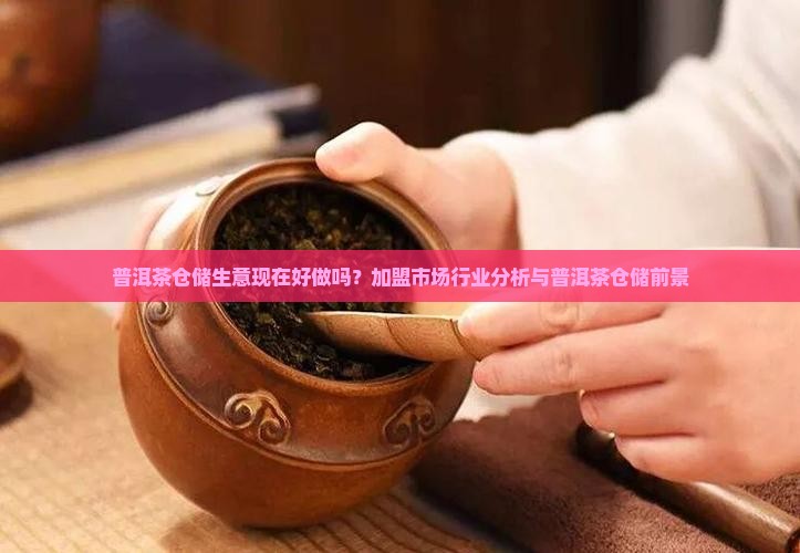 普洱茶仓储生意好做吗现在