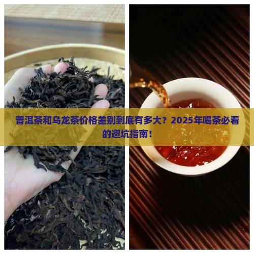 普洱茶和乌龙茶价格差别