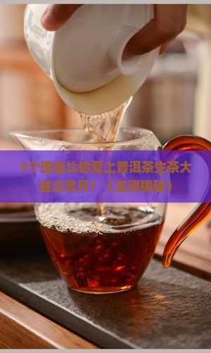 普洱茶生茶大益汉宫月