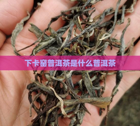 下卡窑普洱茶是什么茶