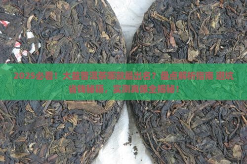 比较出名的大益普洱茶