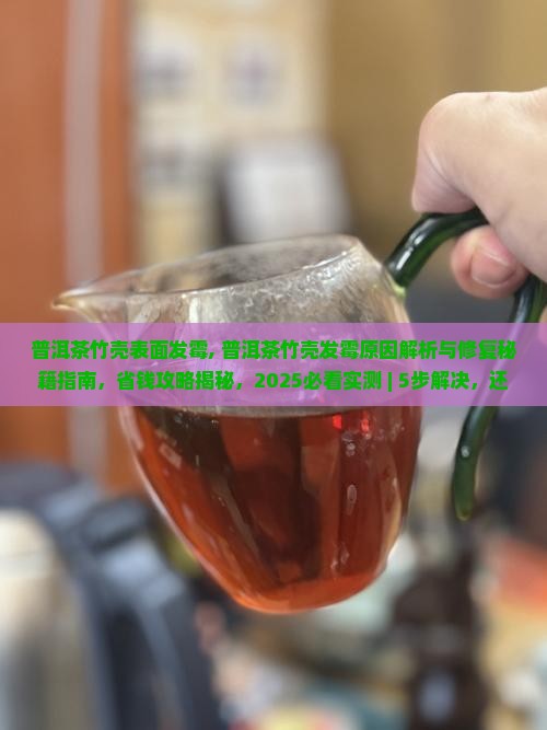普洱茶竹壳表面发霉
