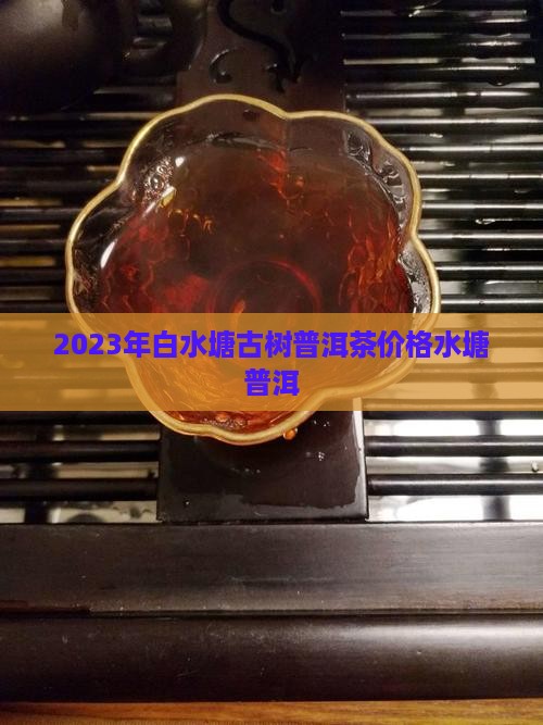 2023年白水塘古树茶普洱茶