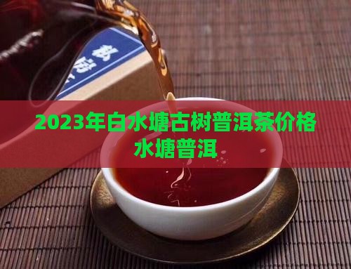 2023年白水塘古树茶普洱茶