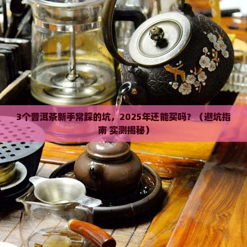 普洱茶小时代前景