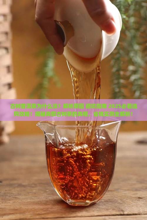 古树普洱茶为什么淡