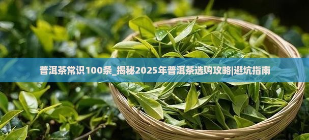 普洱茶常识100条 普洱茶常识100条