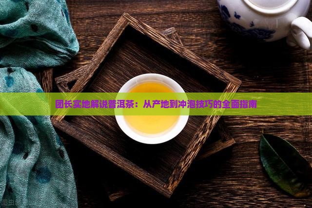 团长实地解说普洱茶