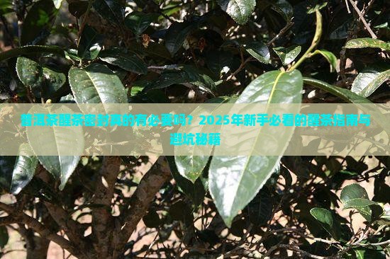 普洱茶醒茶密封