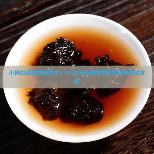 小种红茶的功效与作用
