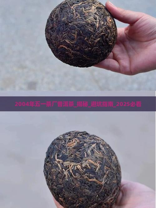 2004年五一茶厂普洱茶