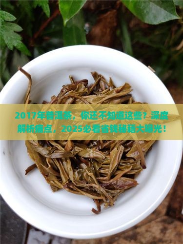 2017年普洱茶
