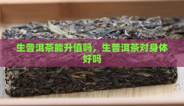 生普洱茶能升值