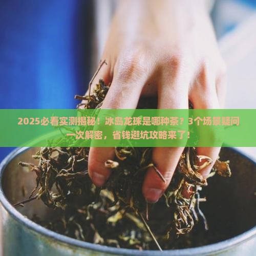 冰岛龙珠是哪种茶