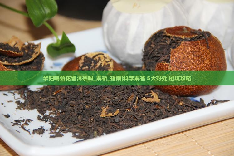 孕妇喝菊花普洱茶吗