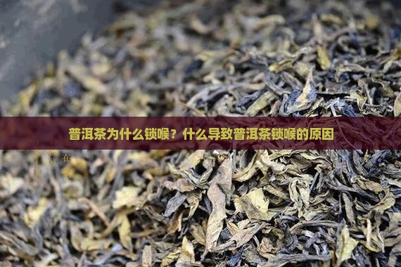 普洱茶为什么会锁候