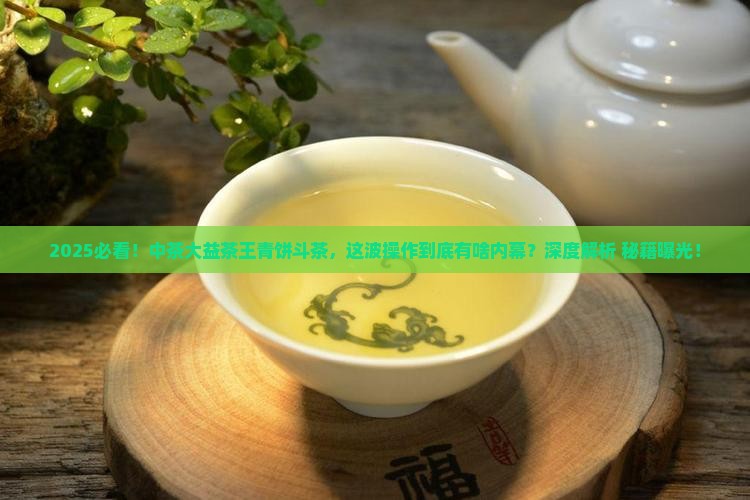中茶大益茶王青饼斗茶的原因