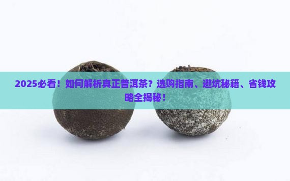 哪里能买到真正普洱茶