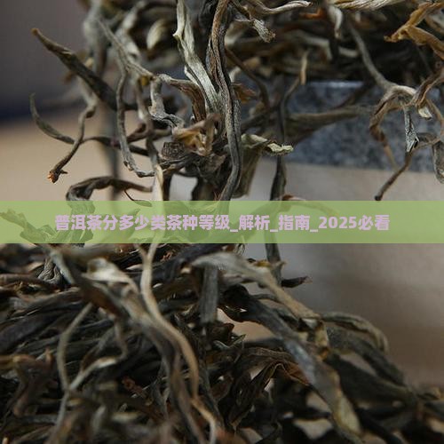普洱茶分多少类茶种等级 普洱茶分多少类茶种等级