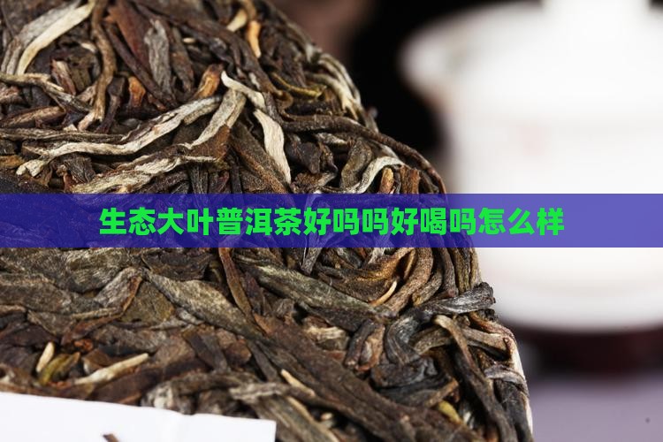 生态大叶普洱茶好吗吗好喝吗