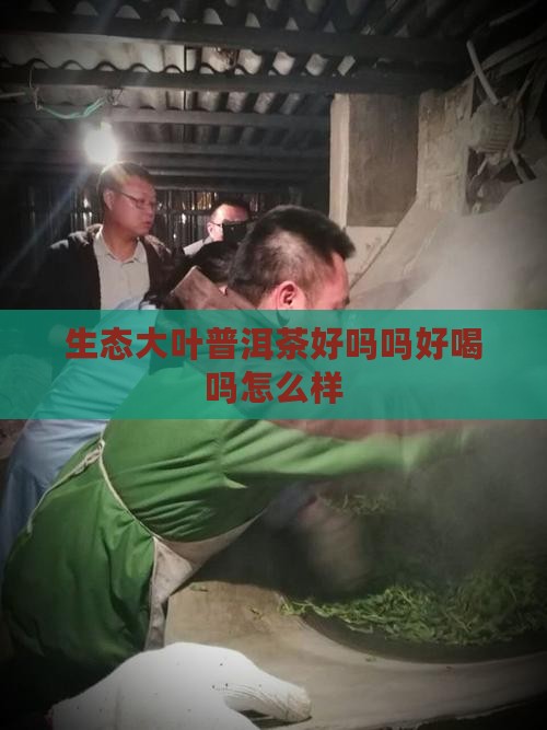 生态大叶普洱茶好吗吗好喝吗