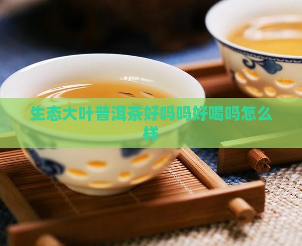生态大叶普洱茶好吗吗好喝吗