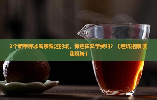 冰岛茶种植技术