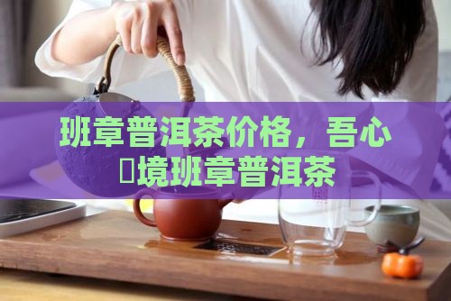 吾心禪境班章普洱茶