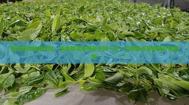 普洱茶膏香郡价格