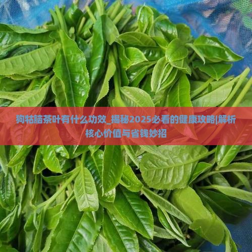 狗牯脑茶叶有什么功效