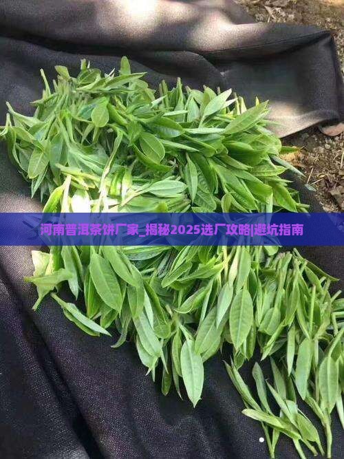 河南普洱茶饼厂家