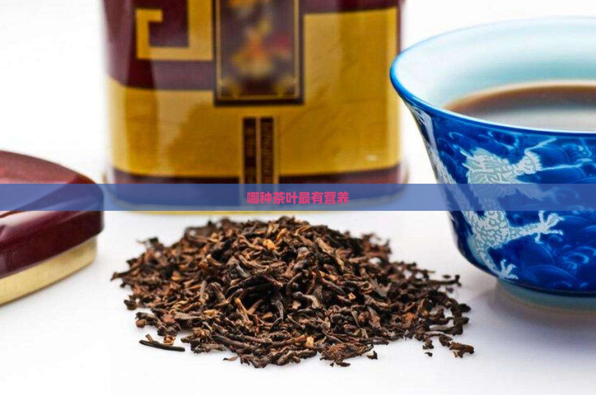 哪种茶叶最有营养