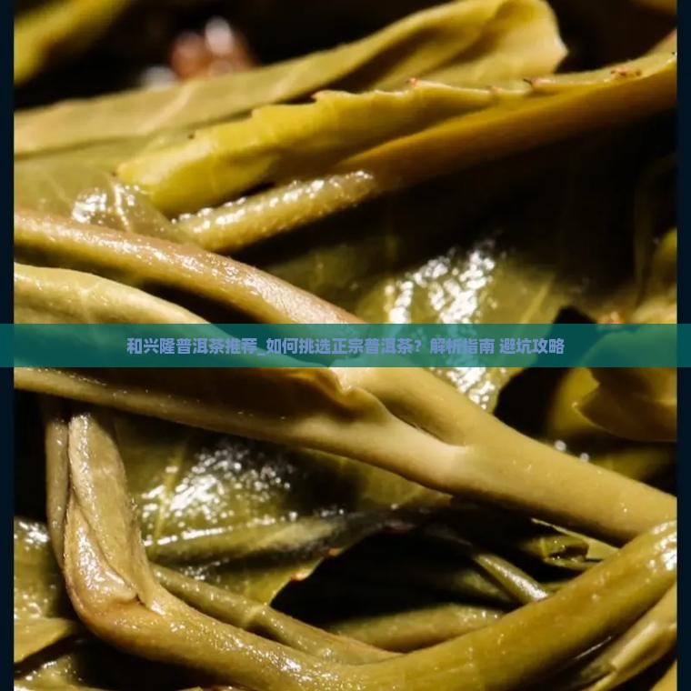 和兴隆普洱茶推荐