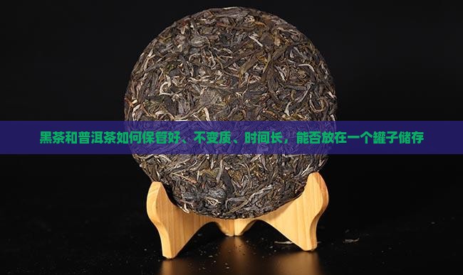黑茶和普洱茶如何保管