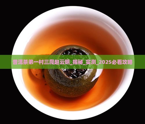 普洱茶弟一村三爬赵云明