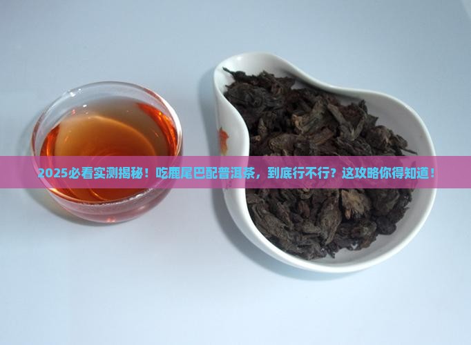 吃鹿尾巴可以饮普洱茶吗