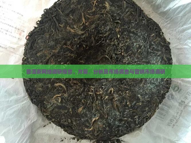 普洱茶网络调研