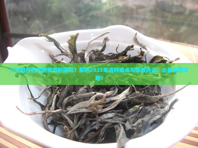 斗记的昔归古树茶