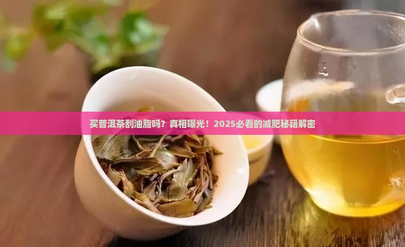 买普洱茶刮油脂吗