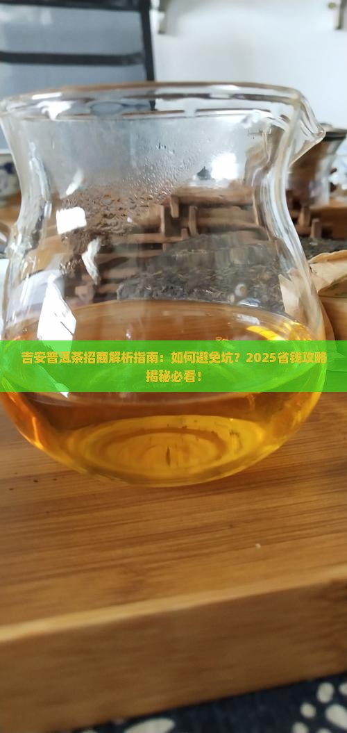 吉安普洱茶招商