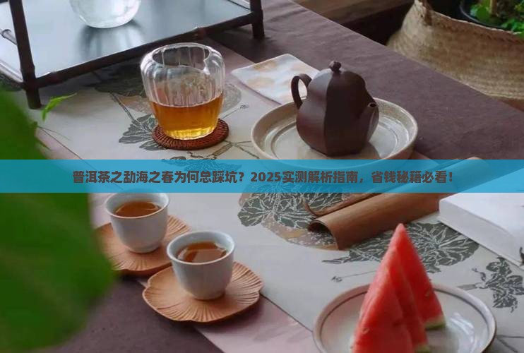 普洱茶之勐海之春