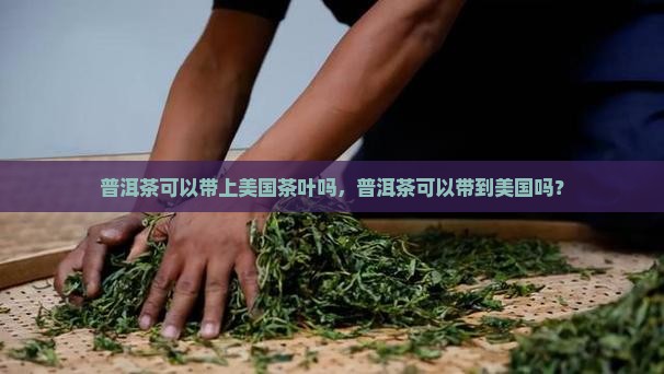 普洱茶可以带上美国茶叶吗