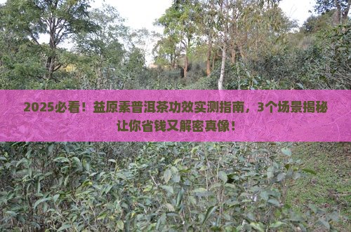 益原素普洱茶功效