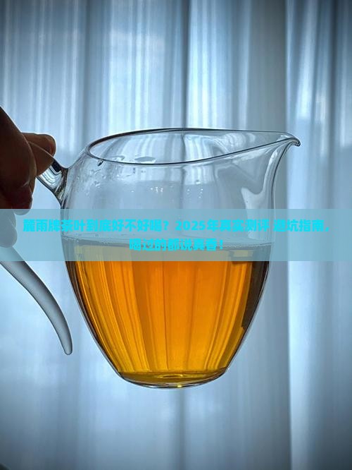 麓雨牌茶叶怎么样