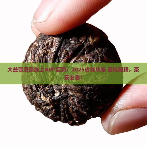 大益普洱茶线上app