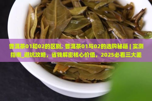普洱茶01和02的区别