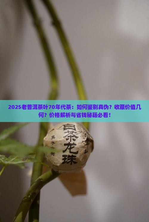老普洱茶叶70年代茶 老普洱茶叶70年代茶