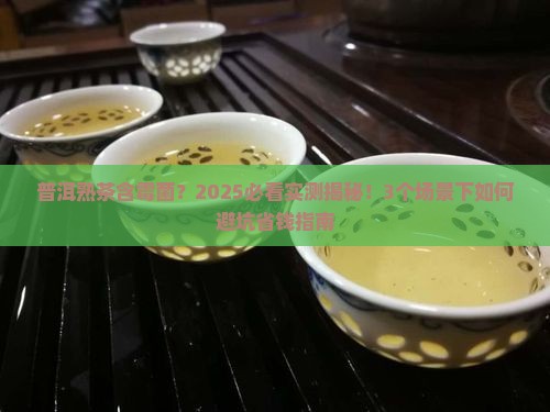 普洱熟茶含霉菌